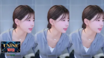은유화（greenblue798）241128