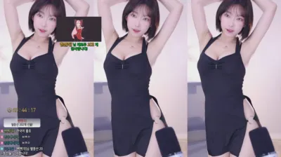 이지각（leelate）241004