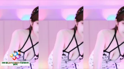 재희。（crazycatsss）240619