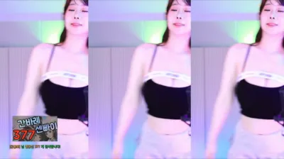 재희。（crazycatsss）240624