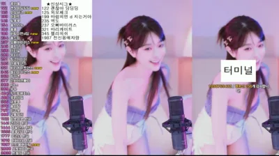 재희。（crazycatsss）250220