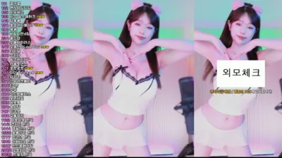 재희。（crazycatsss）250417