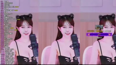 재희。（crazycatsss）250611