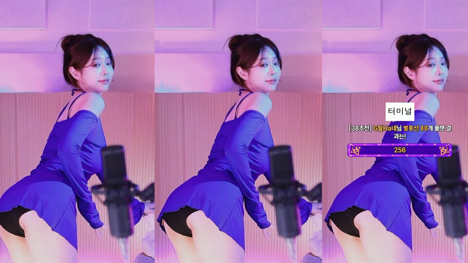 재희。（crazycatsss）260520