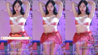 정서이_ （seoi1016）241224