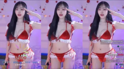 정서이_ （seoi1016）241225