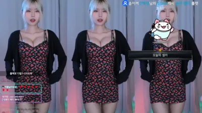 최솜이_（we8136）230509