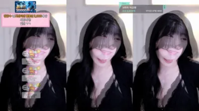 타니。（dleh0824）250702