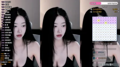 하니니（bumzi98）250326