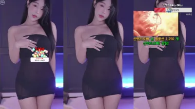 하루S2（sol3712）241112