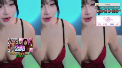 하루S2（sol3712）241118