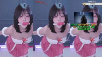 하루S2（sol3712）241211