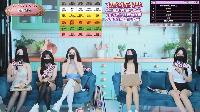 하이레이디（hicompany）250514
