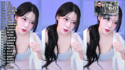 BJ채리（lcy011027）241002