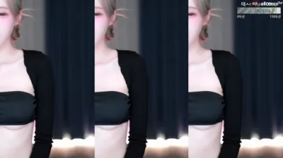 BJ햄찡（gusdk2362）230927