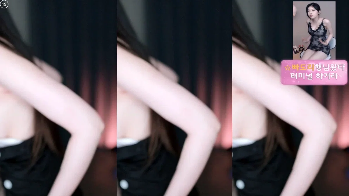 BJ햄찡（gusdk2362）260224