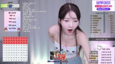 S2금화（e000e77）240816
