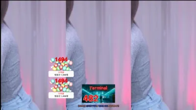S2금화（e000e77）250118