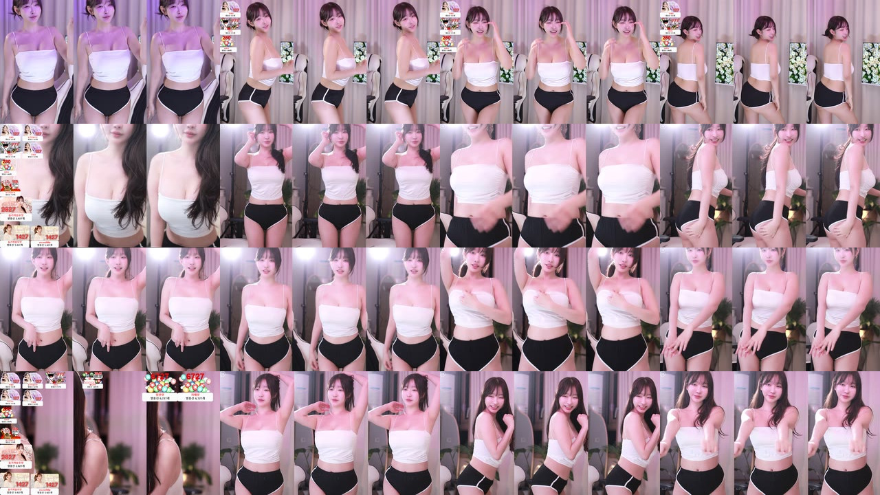 둘기얏（1004ysus）250401
