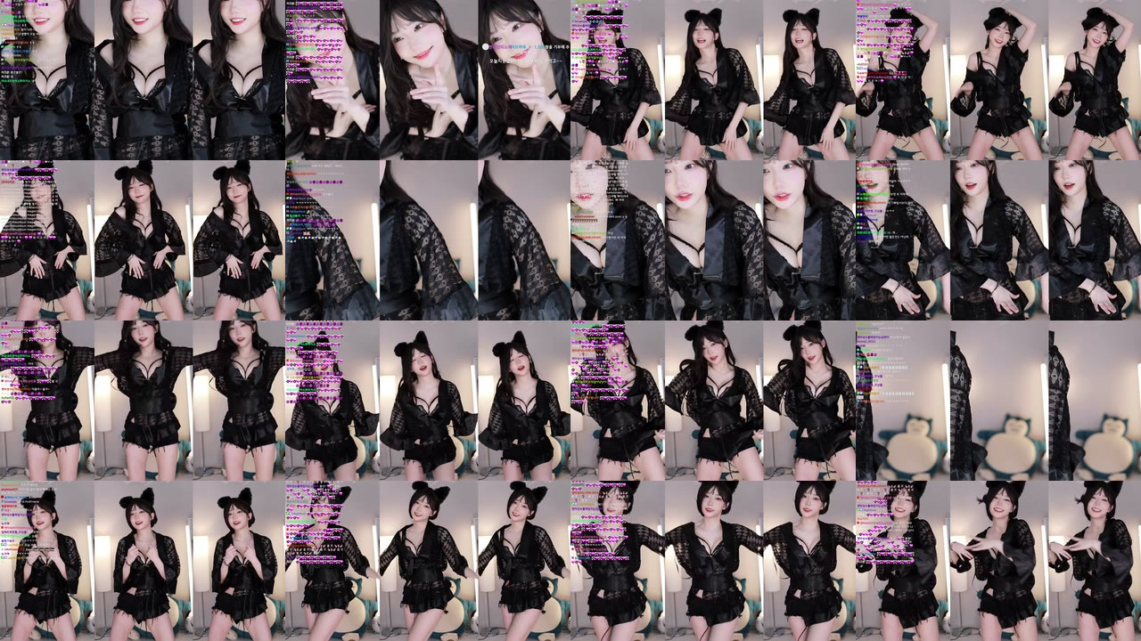 마젠타（magenta62）220318