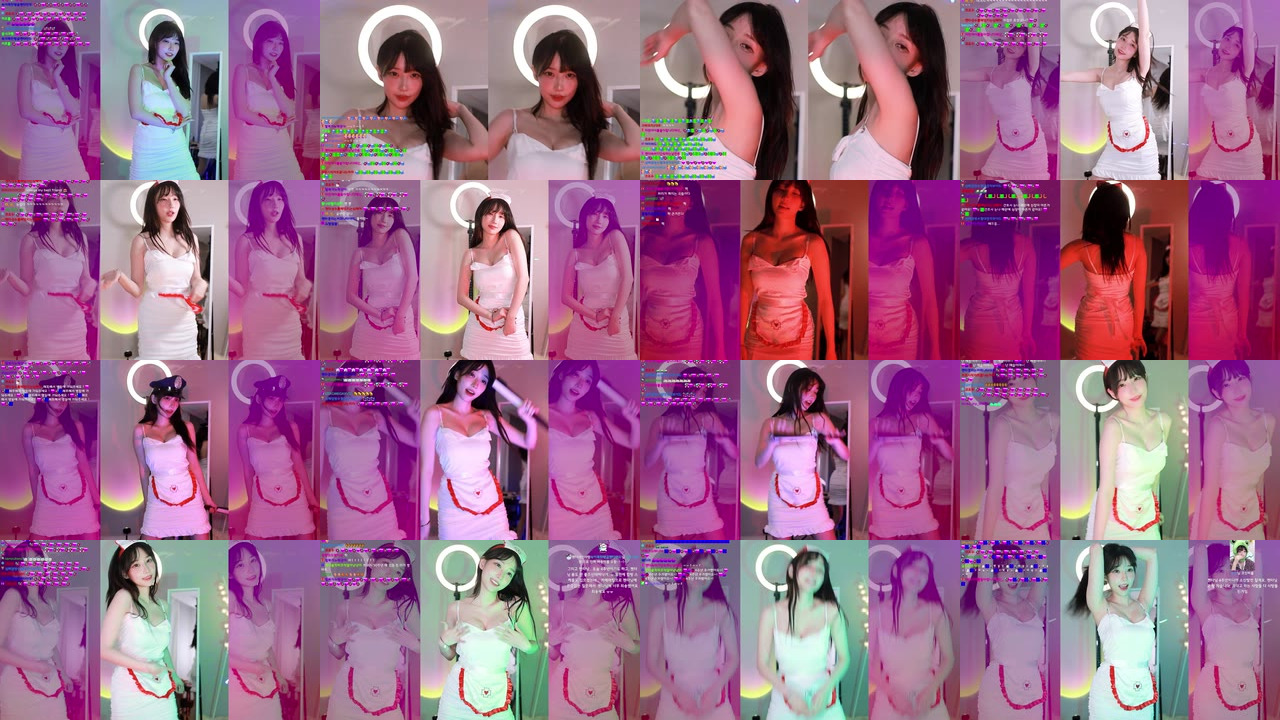 마젠타（magenta62）221127