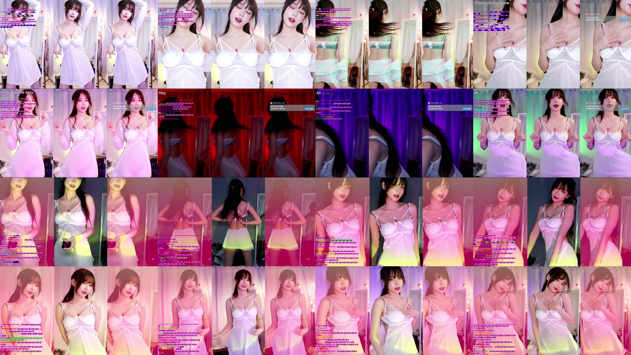 마젠타（magenta62）230218