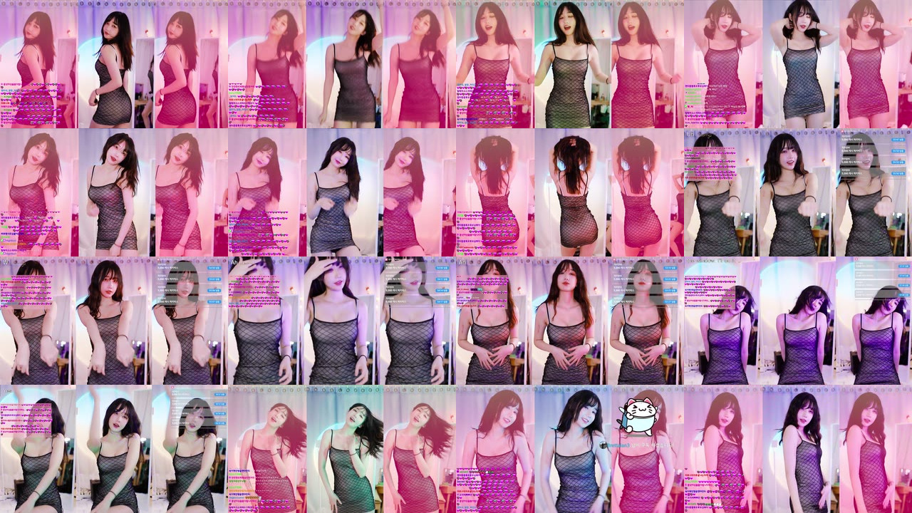 마젠타（magenta62）230228