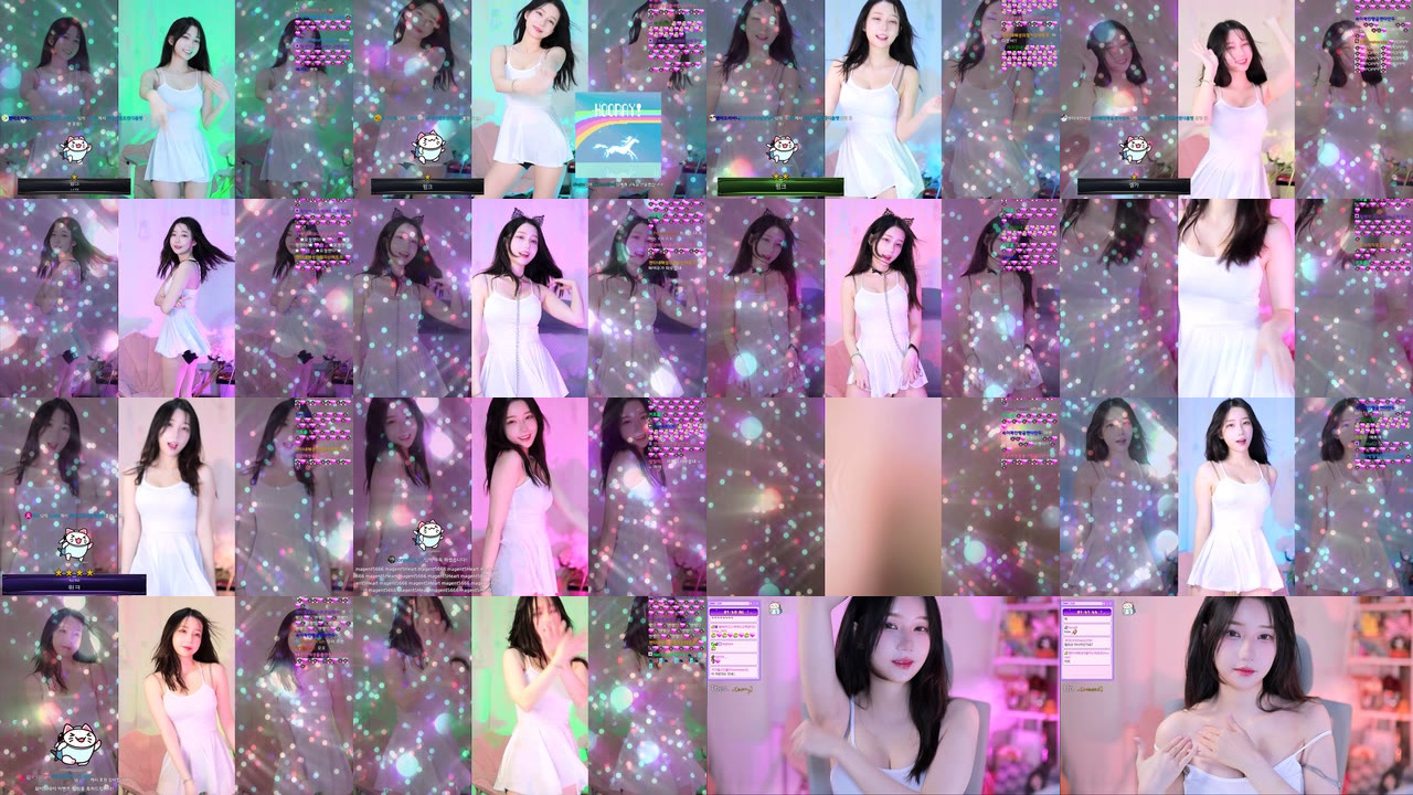 마젠타（magenta62）230317