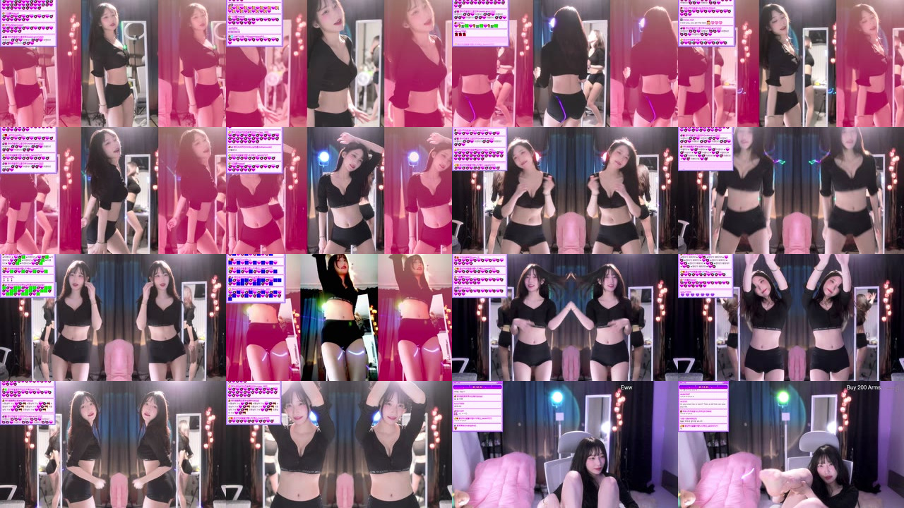 마젠타（magenta62）230509