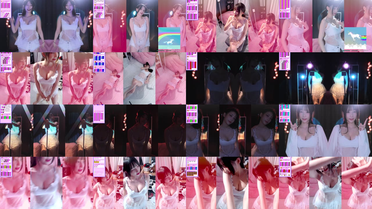 마젠타（magenta62）230516