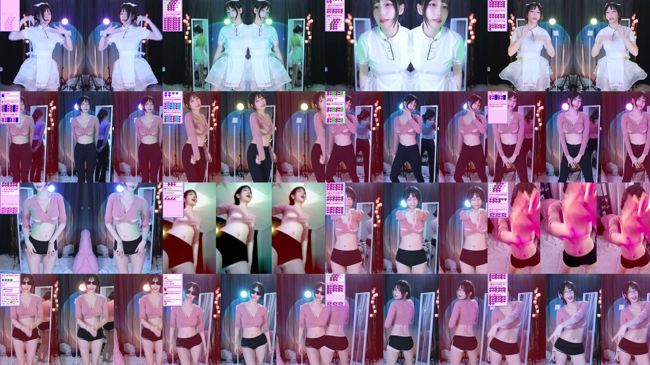 마젠타（magenta62）230518