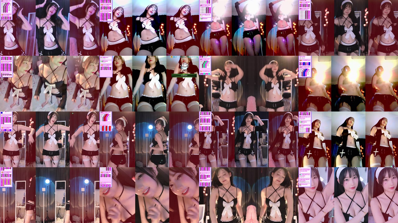 마젠타（magenta62）230519