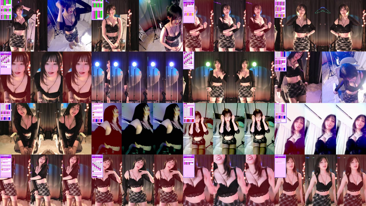 마젠타（magenta62）230523