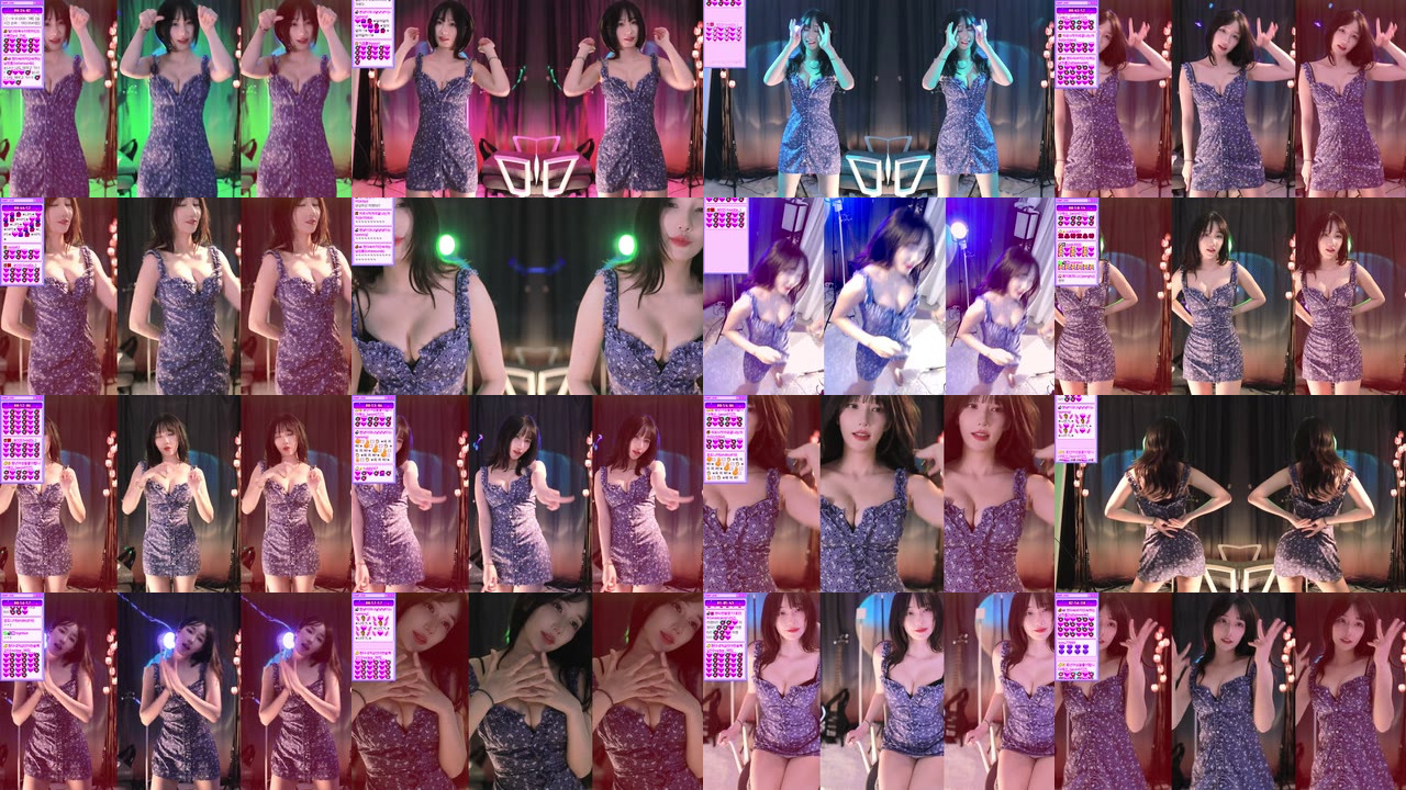 마젠타（magenta62）230525