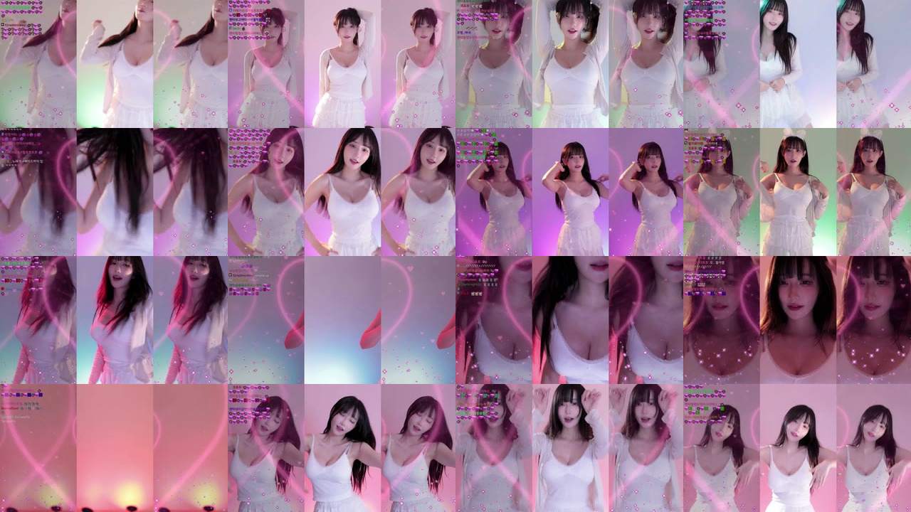 마젠타（magenta62）230825