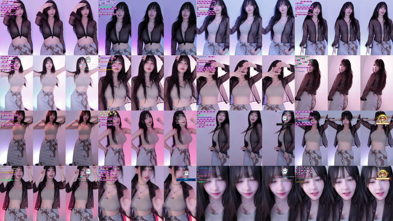 마젠타（magenta62）230927