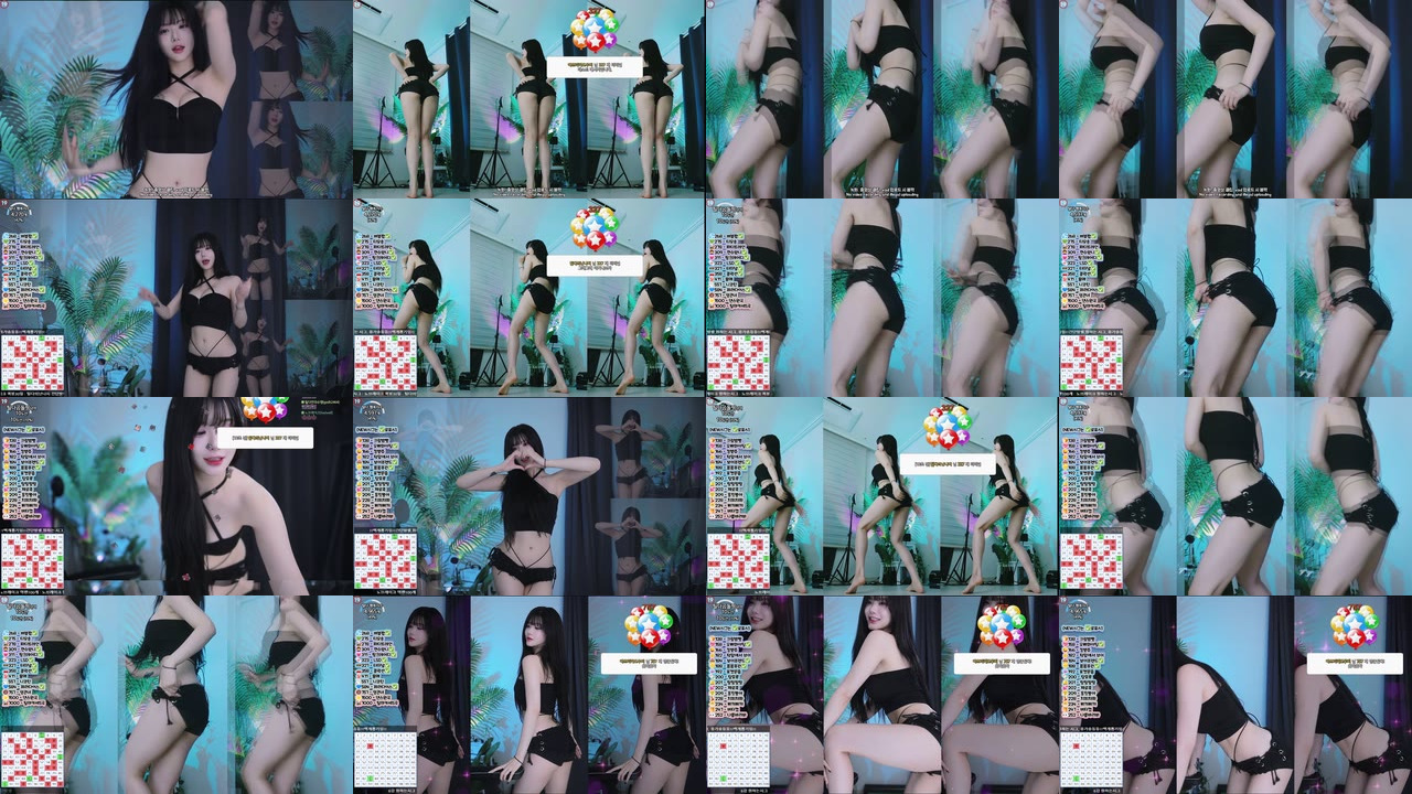 박틸다（tildaaa）240923