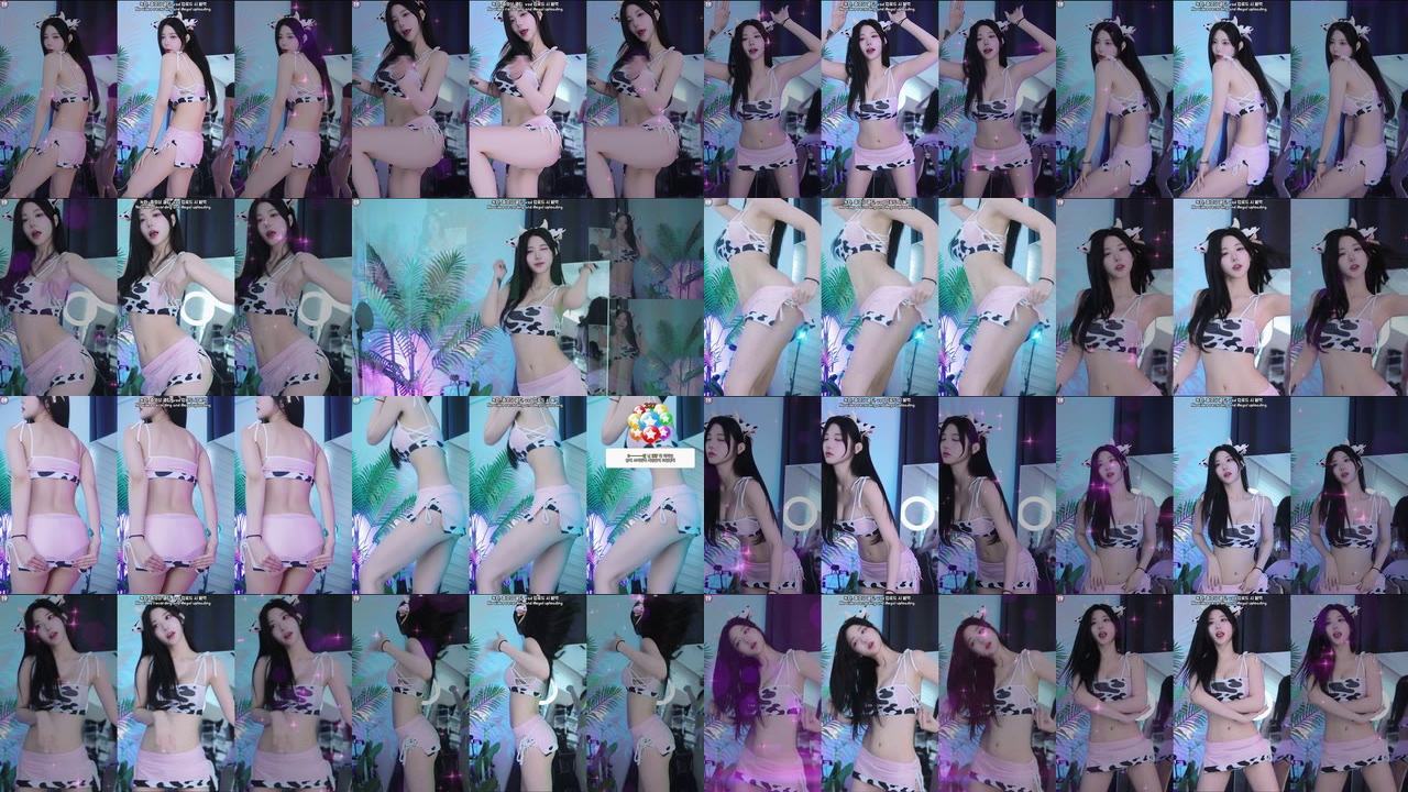 박틸다（tildaaa）241004