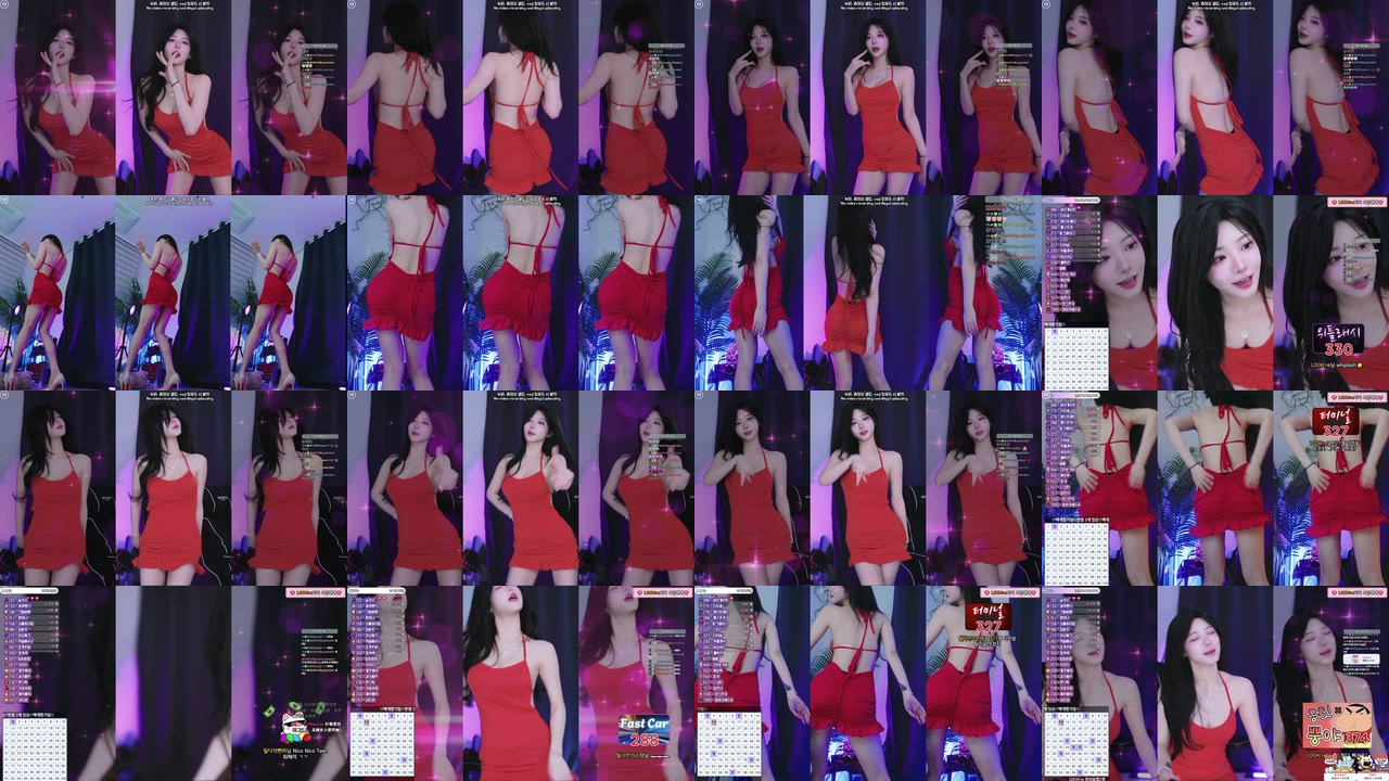 박틸다（tildaaa）250204