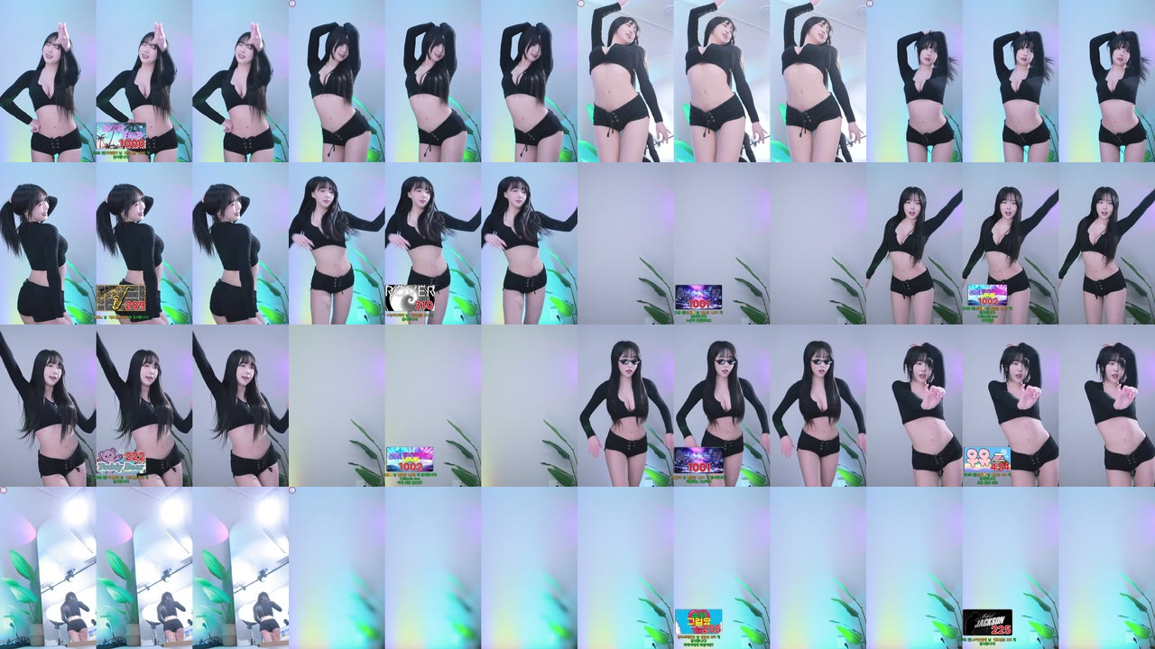 박하악（qkrgkdms01）240520