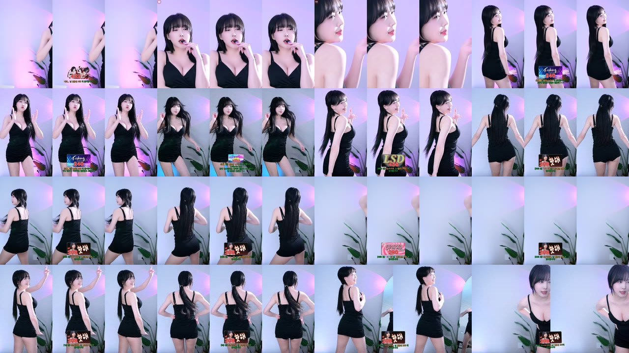 박하악（qkrgkdms01）240526