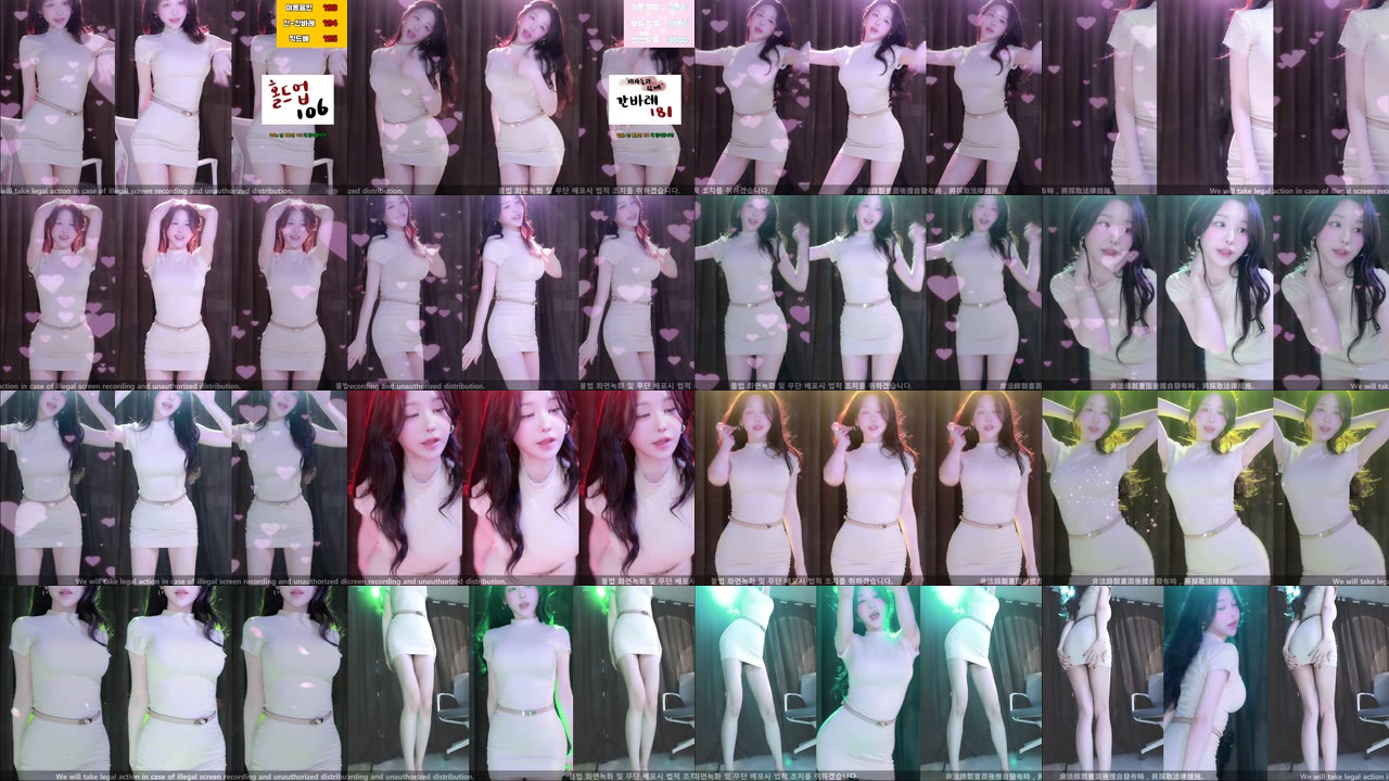 붓잽이（km5430678）240330