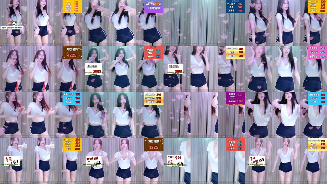 붓잽이（km5430678）240520