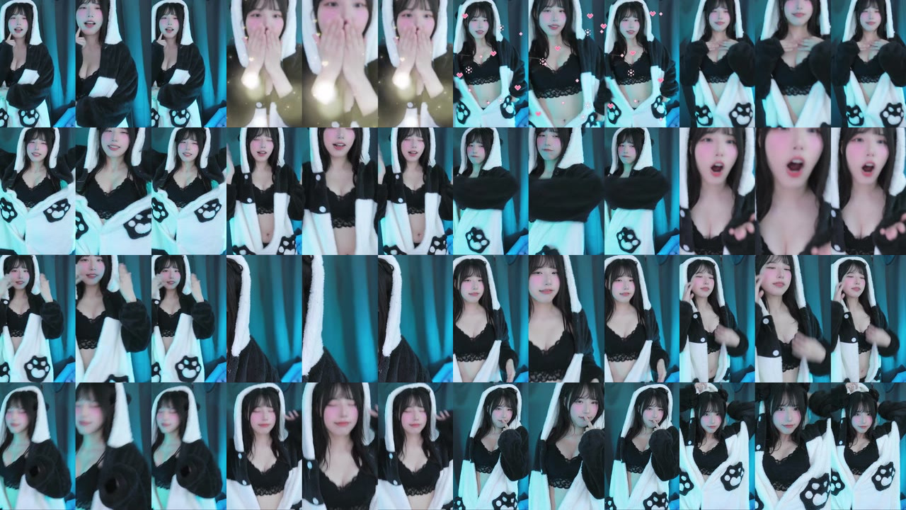 세계（world1104）241130