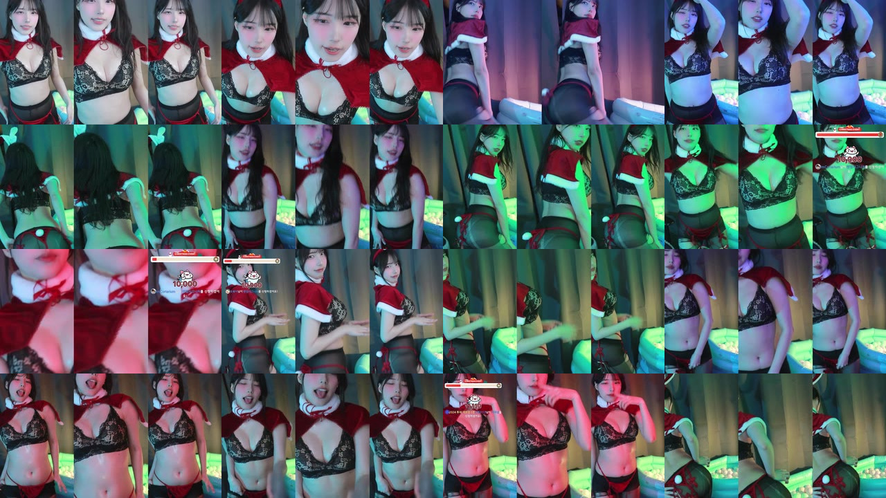세계（world1104）241223