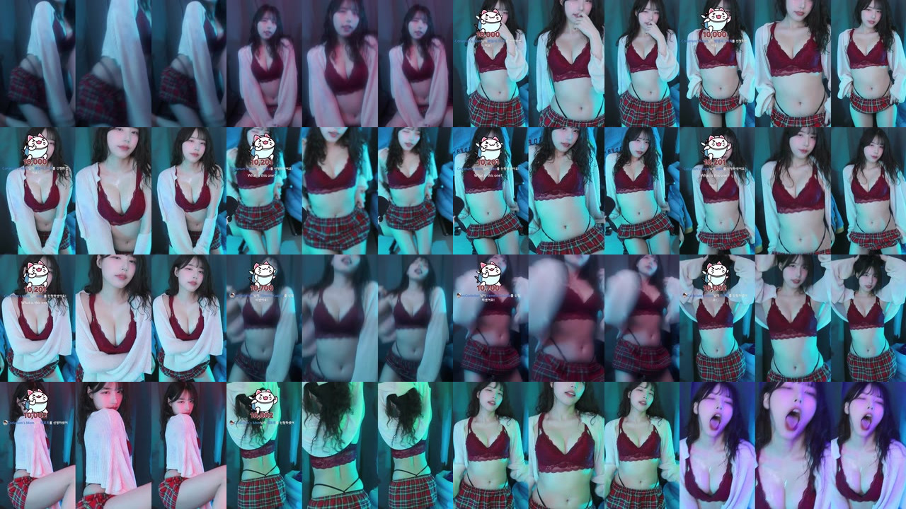 세계（world1104）250111