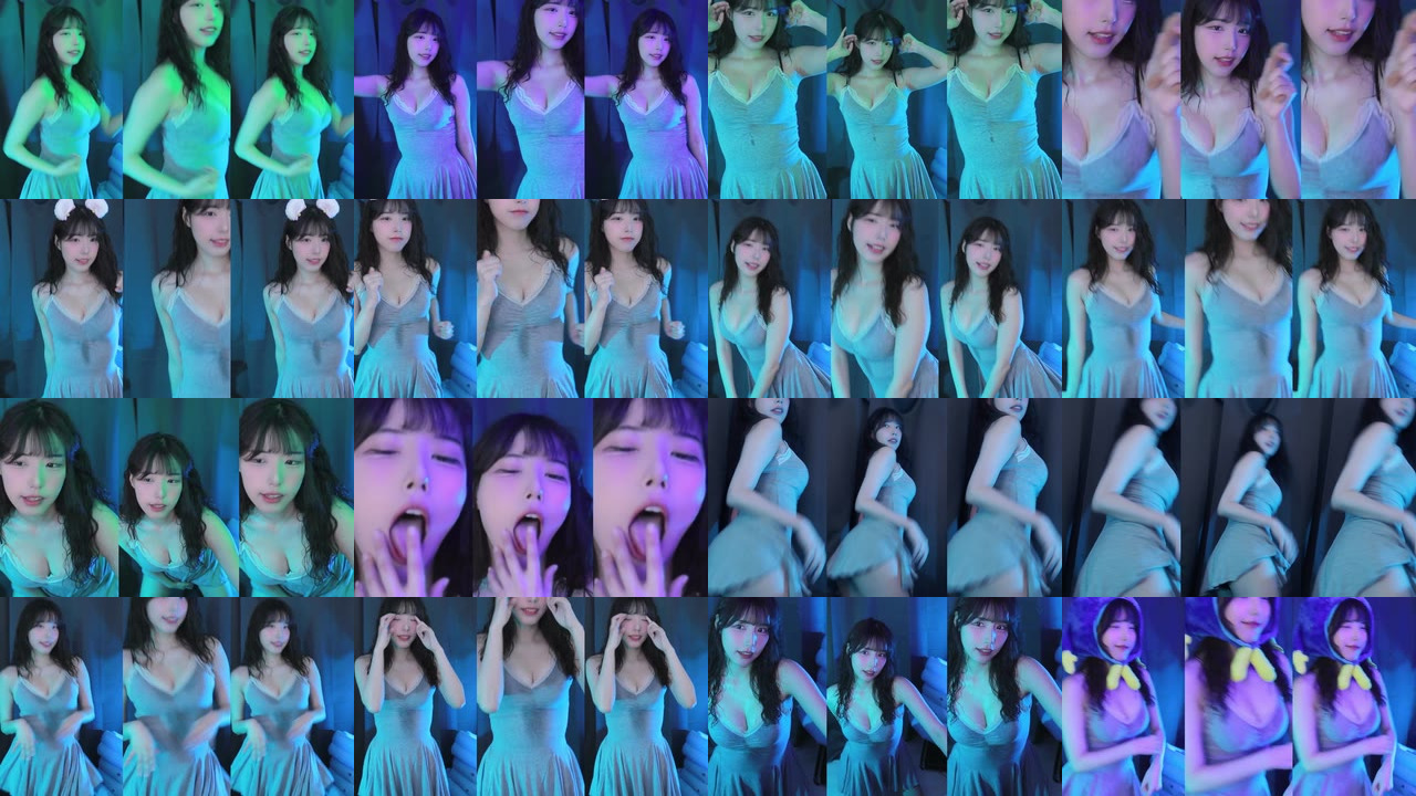 세계（world1104）250130