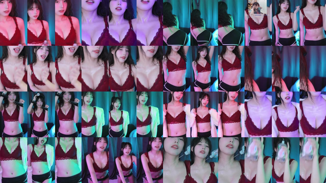 세계（world1104）250219