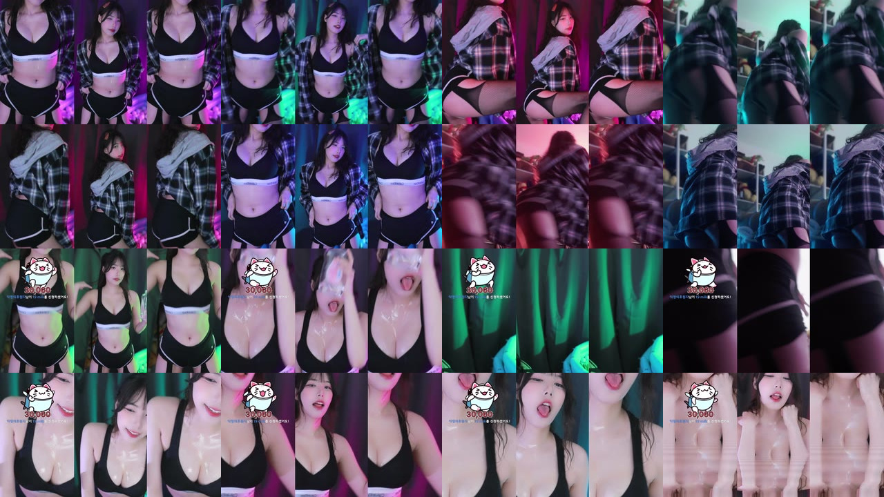 세계（world1104）250508