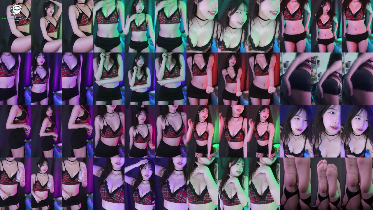 세계（world1104）250510